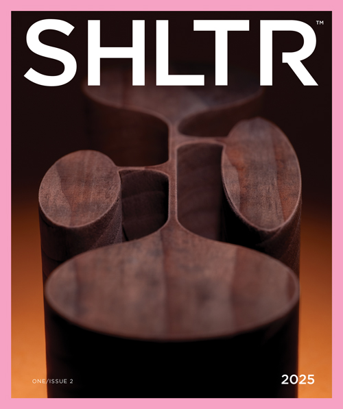 SHLTR_Issue_2_500x597